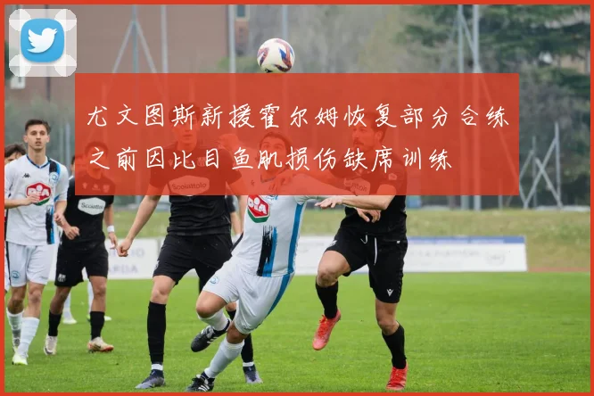尤文图斯新援霍尔姆恢复部分合练之前因比目鱼肌损伤缺席训练